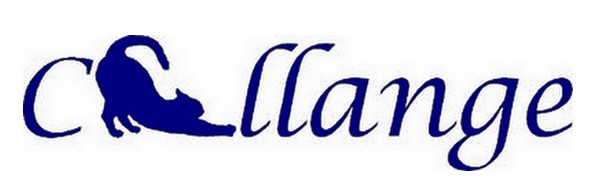 logo challange