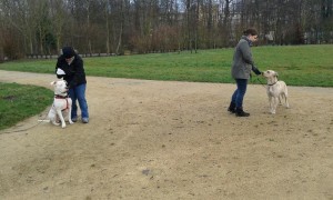 cours montataire